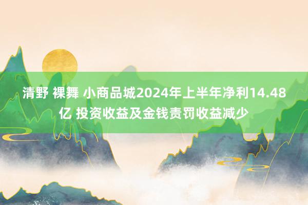 清野 裸舞 小商品城2024年上半年净利14.48亿 投资收益及金钱责罚收益减少